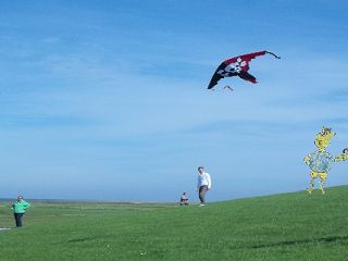 Dorumer Schalk mit Drachen
