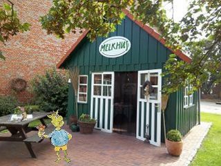 Dorumer Schalk beim Melkhus