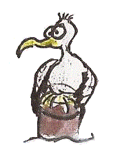 Der Dorumer Schalk freut sich &uuml;ber Post auch per M&ouml;we