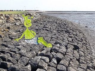 Dorumer Schalk auf den Steinen am Watt