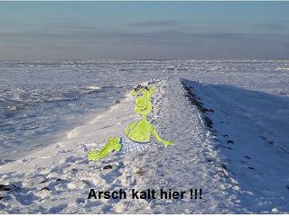 Dorumer Schalk im Winter